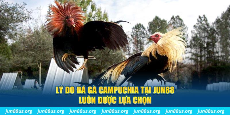 mcw87 tài xỉu nổ hũ là gì