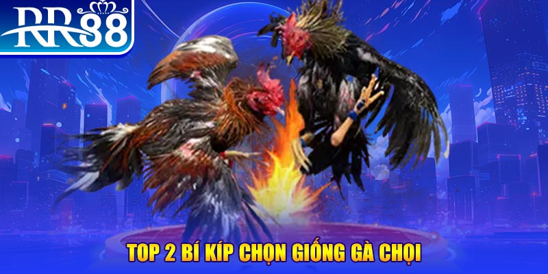 mcw87 đăng nhập poker số 1