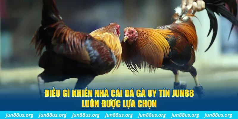 mcw87 qq88 nổ hũ bắn cá