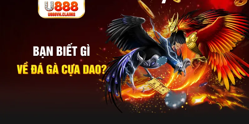 mcw87 xổ số kiến thiết