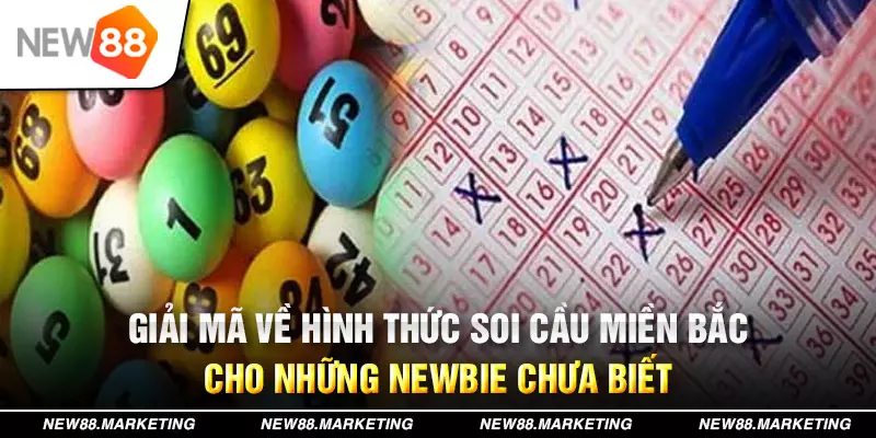 mcw87 đăng nhập mậu binh live