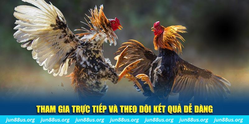 mcw87 đá gà trực tiếp bình luận viên