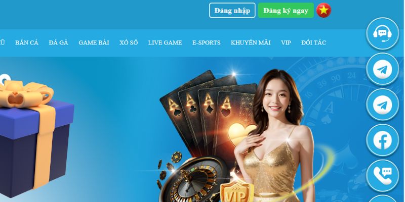 mcw87 slot là gì dịch