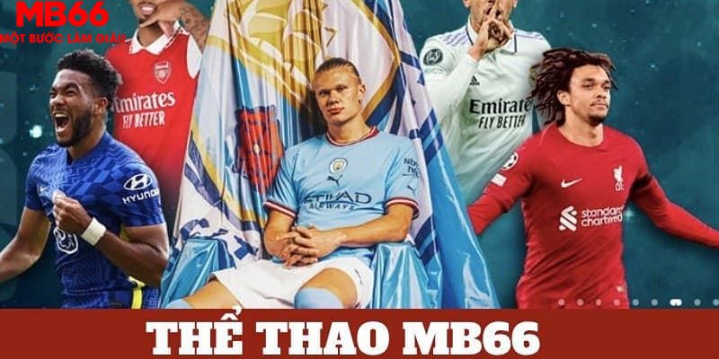 mcw87 trực tiếp đá gà 67