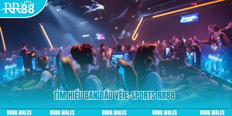 mcw87 Đĩa màu ace