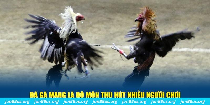 mcw87 xổ số cà mau