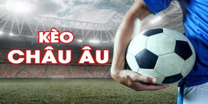 mcw87 đá gà trực tiếp casino
