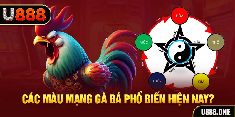 mcw87 đăng nhập mậu binh