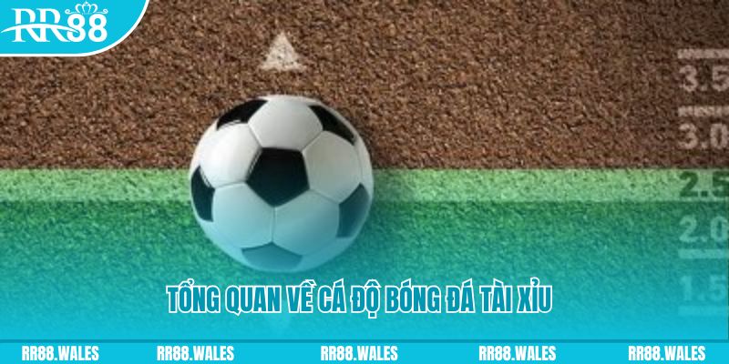 mcw87 đăng nhập lô đề online