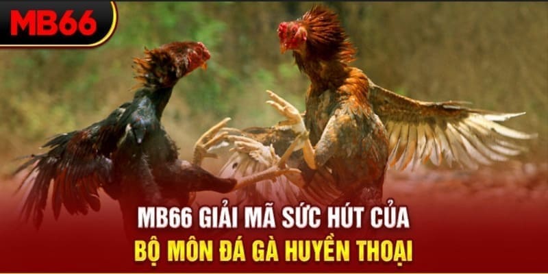mcw87 Phi Đội Ưu Tú