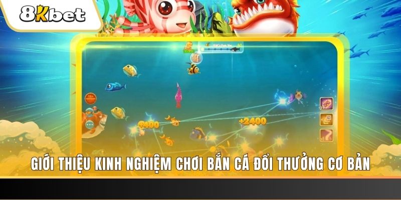 mcw87 xổ số miền bắc thứ năm hàng tuần