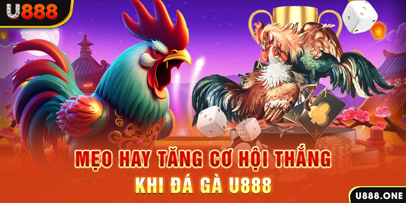 mcw87 trực tiếp gà chọi c1