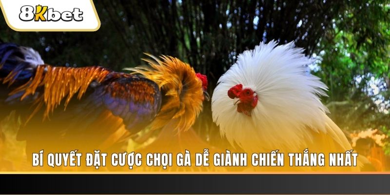 mcw87 Tài Xỉu 2