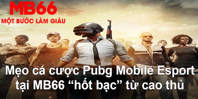 mcw87 gà chọi mộc hóa