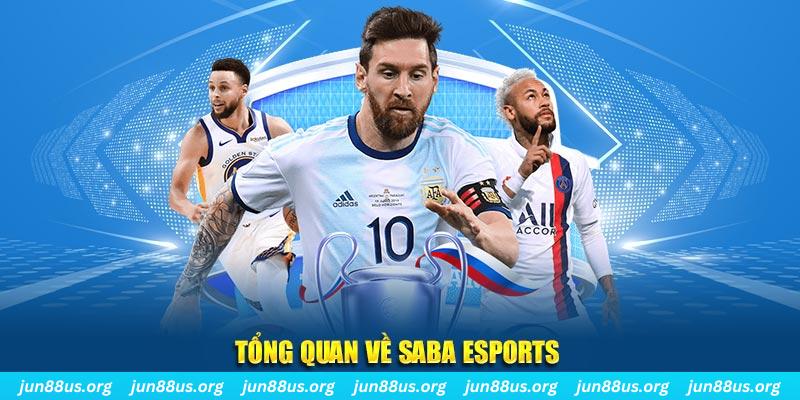 mcw87 gà chọi c1 tv trực tiếp hôm nay